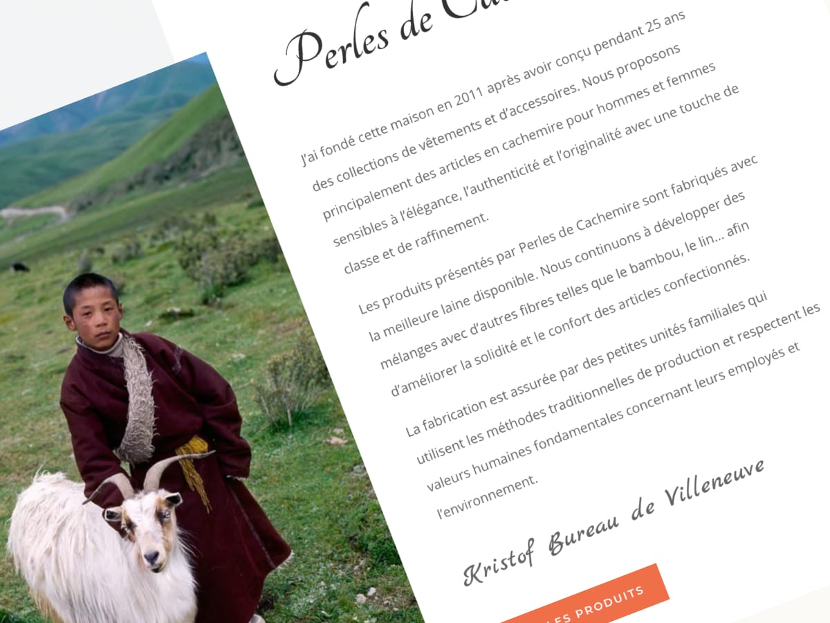 Boutique en ligne d'écharpes en cachemire